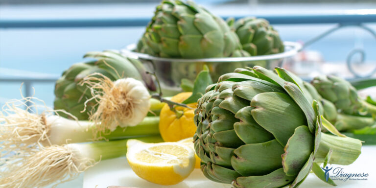 Die Artischocke Hilft das Fett verdauen und schützt die Leber