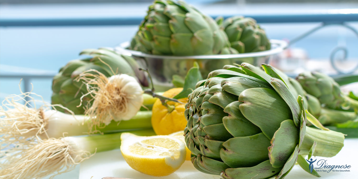 Die Artischocke Hilft das Fett verdauen und schützt die Leber