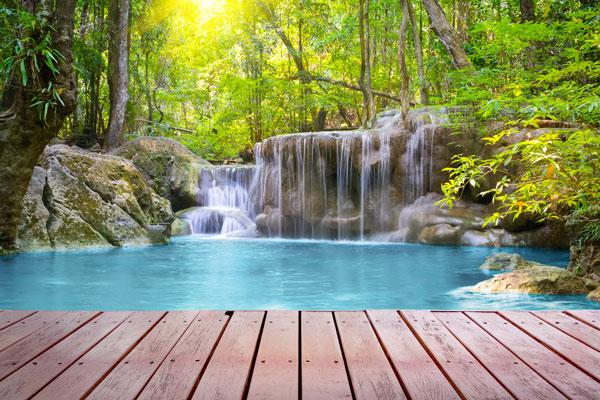 Baden-Tropen_68779723