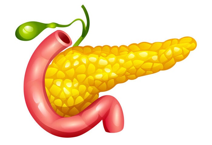 Bauchspeicheldruese Bauchspeicheldruese